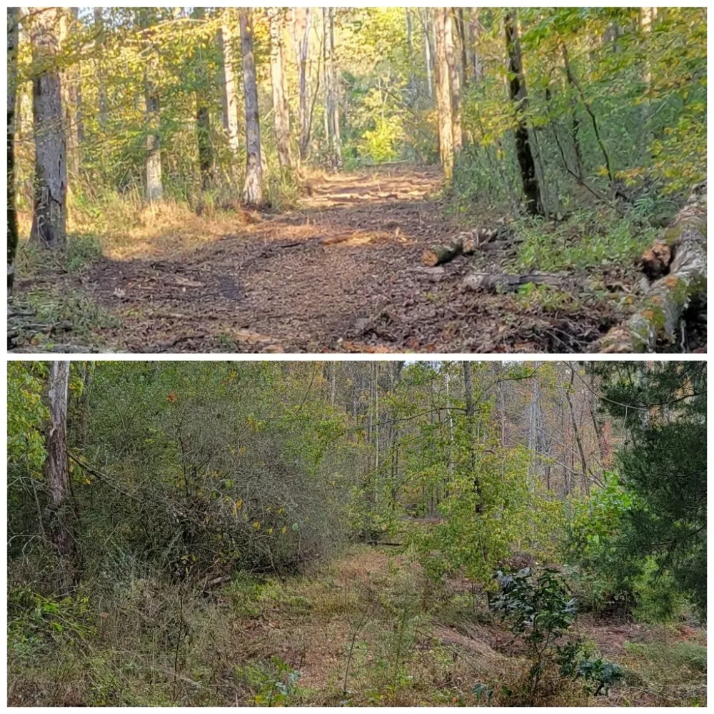 Affordable lawn care service in Tullahoma, TN - Fresh Start Landworx