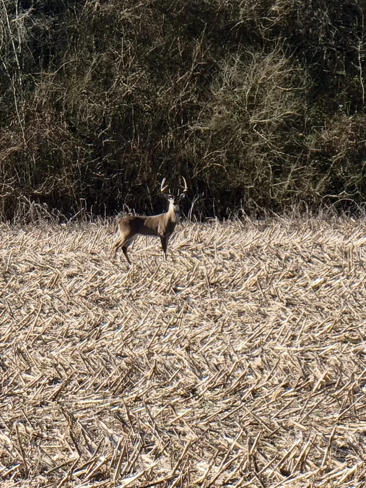 Affordable outdoor landscaping in Tullahoma, TN - Fresh Start Landworx