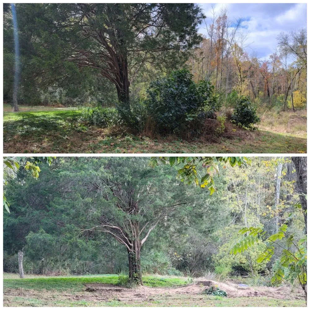 Expert landscape installation near you in Tullahoma, TN by Fresh Start Landworx