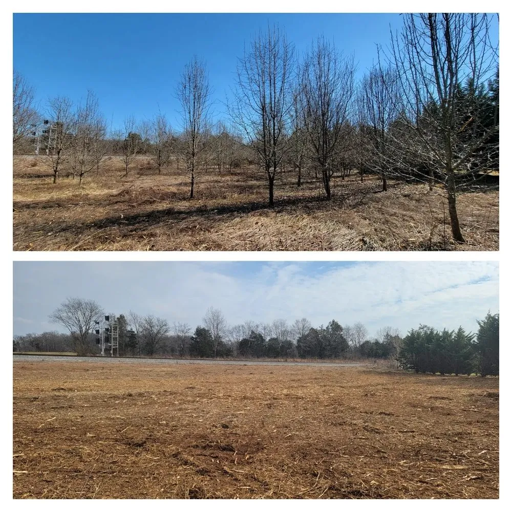 Professional garden landscaping for residential properties across Tullahoma, TN - Fresh Start Landworx