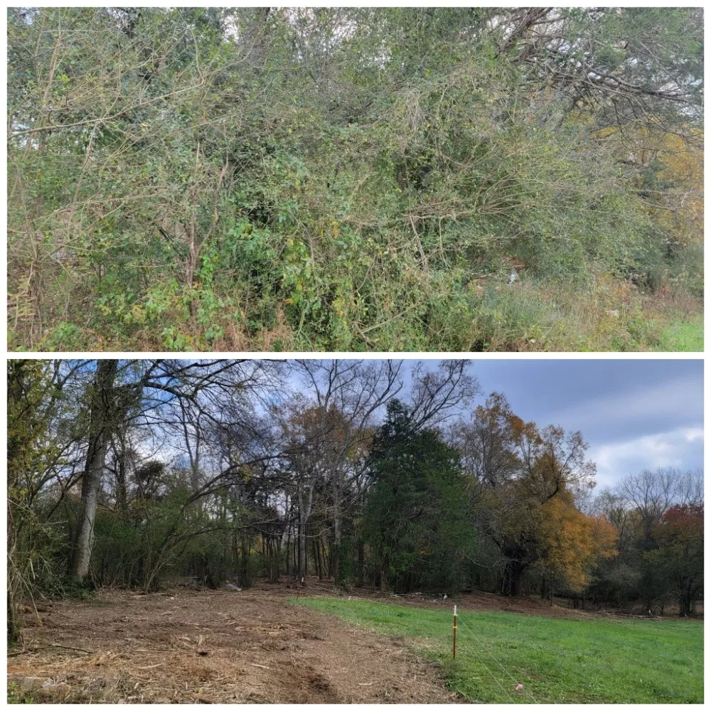 Local landscape design experts serving Tullahoma, TN - Fresh Start Landworx