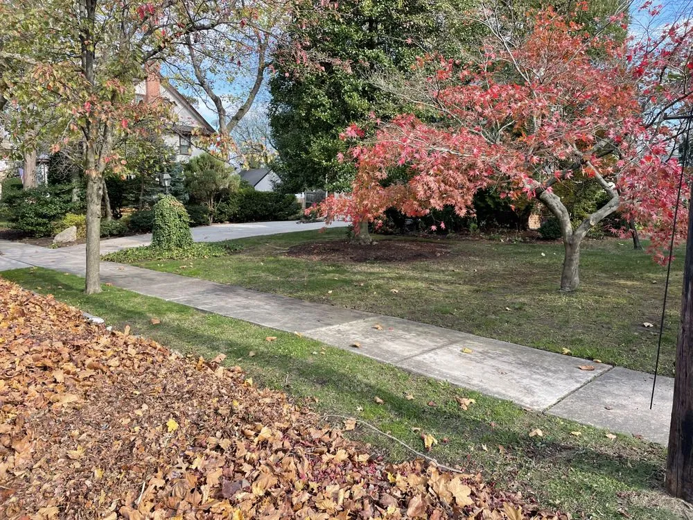 Professional landscape design near you across Pennsauken Township, NJ - Fresh Start Preservations