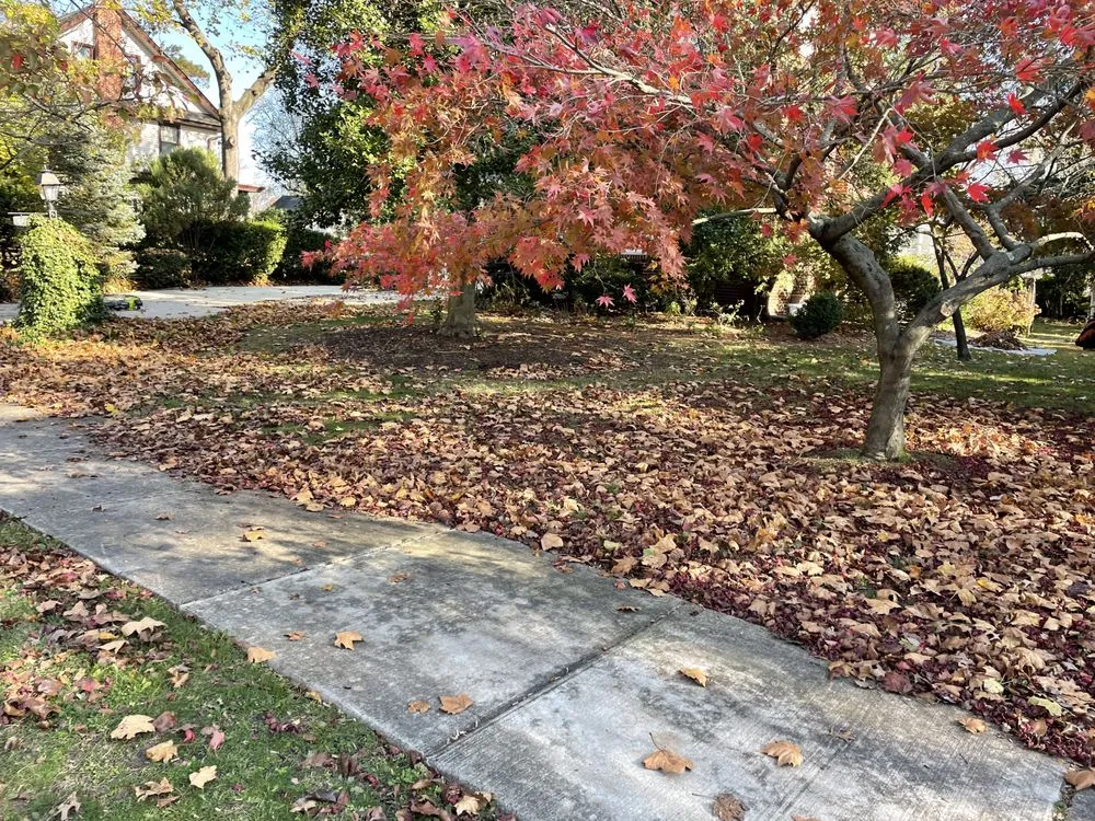 Top-rated garden landscaping for outdoor upgrades across Pennsauken Township, NJ - Fresh Start Preservations