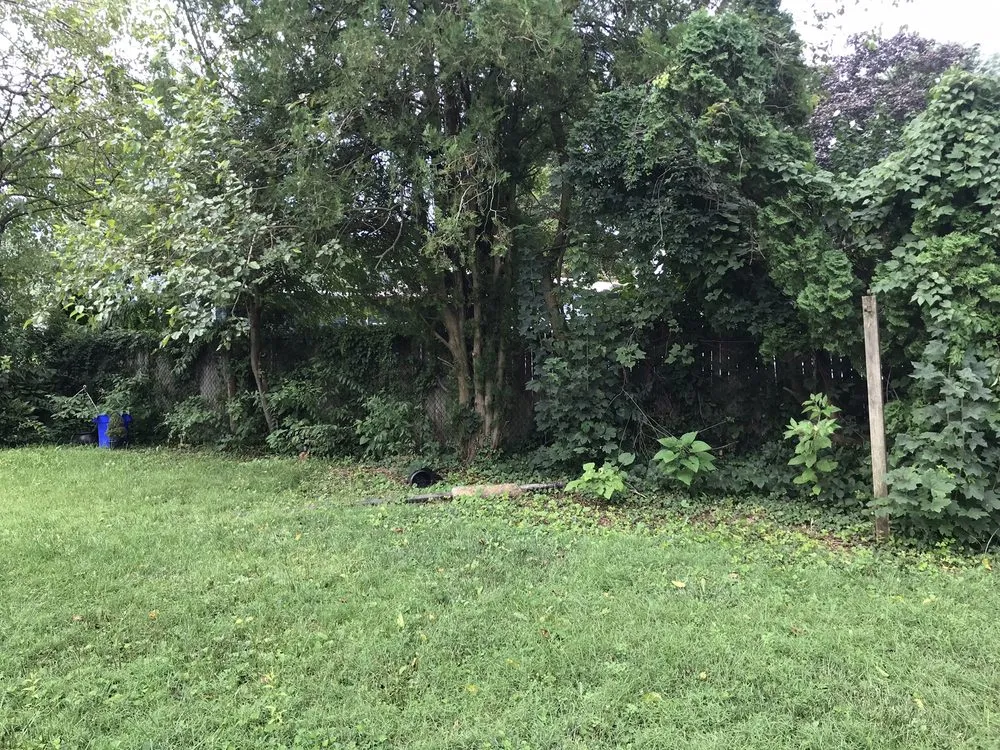 Expert lawn mowing service in Pennsauken Township, NJ by Fresh Start Preservations