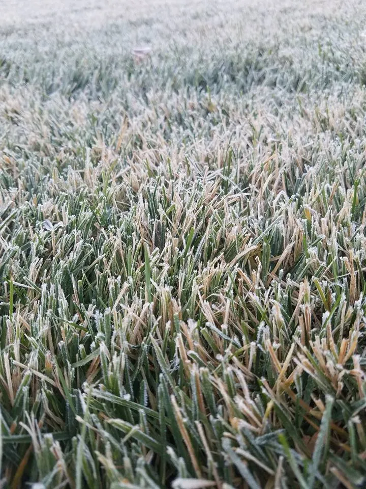 Affordable landscaping services in Blaine, MN by Fresh Vision Landscape