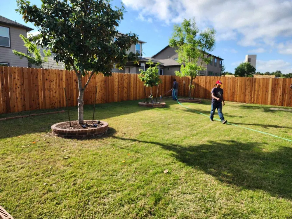 Local lawn care service in Austin, TX - Fresh Yard Landscaping