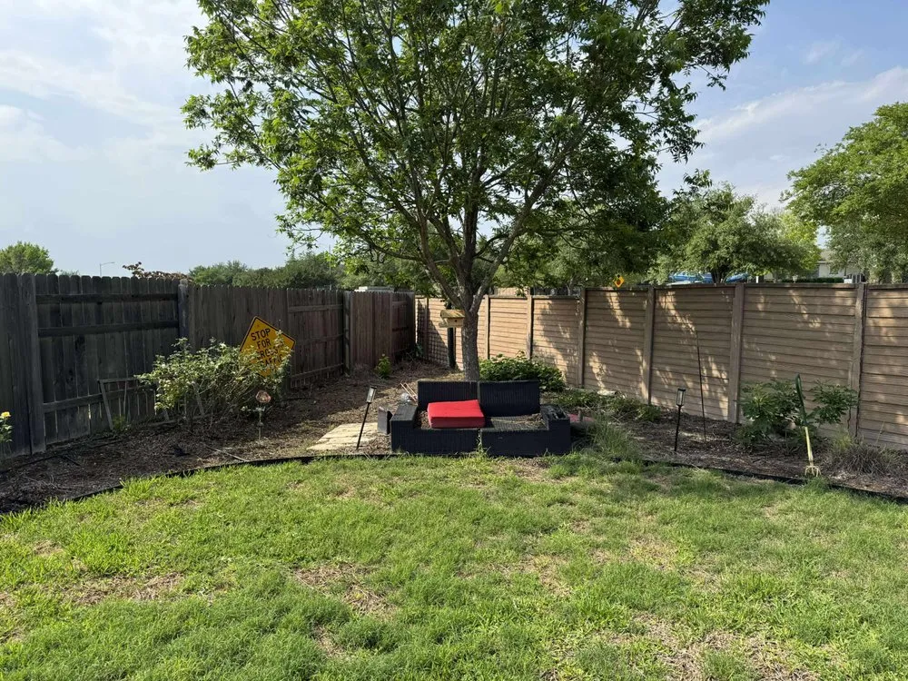 Reliable yard cleanup service near you across Austin, TX - Fresh Yard Landscaping