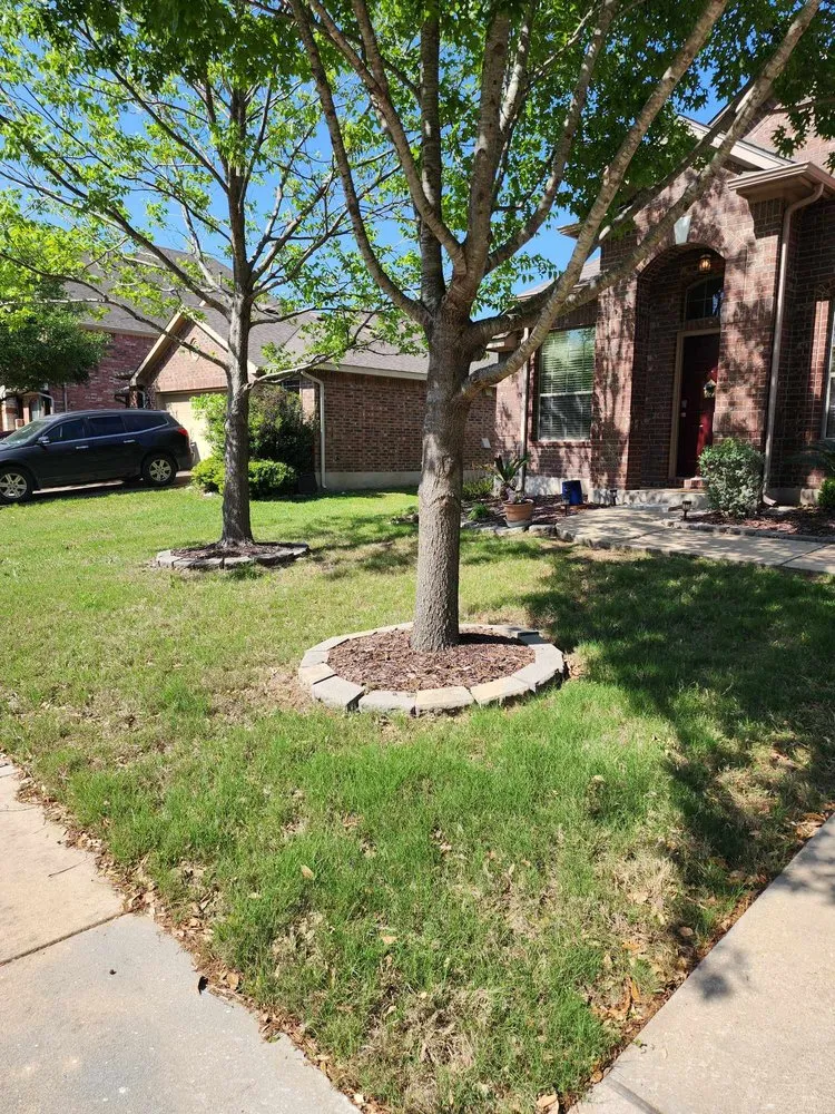 Expert yard cleanup service experts serving Austin, TX - Fresh Yard Landscaping