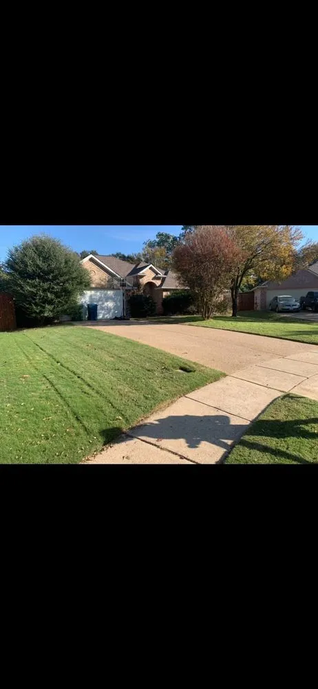 Reliable yard maintenance in Flower Mound, TX - Freshblades Landscaping