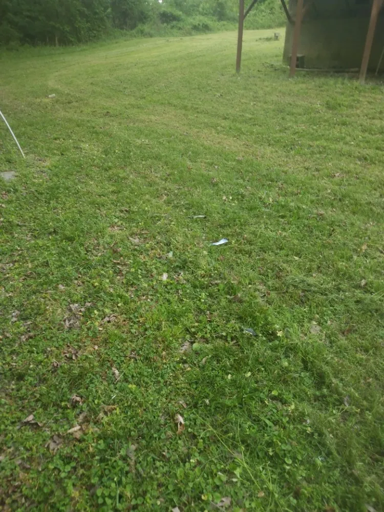 Expert yard cleanup service in Bessemer City, NC - Freshcut Landscaping