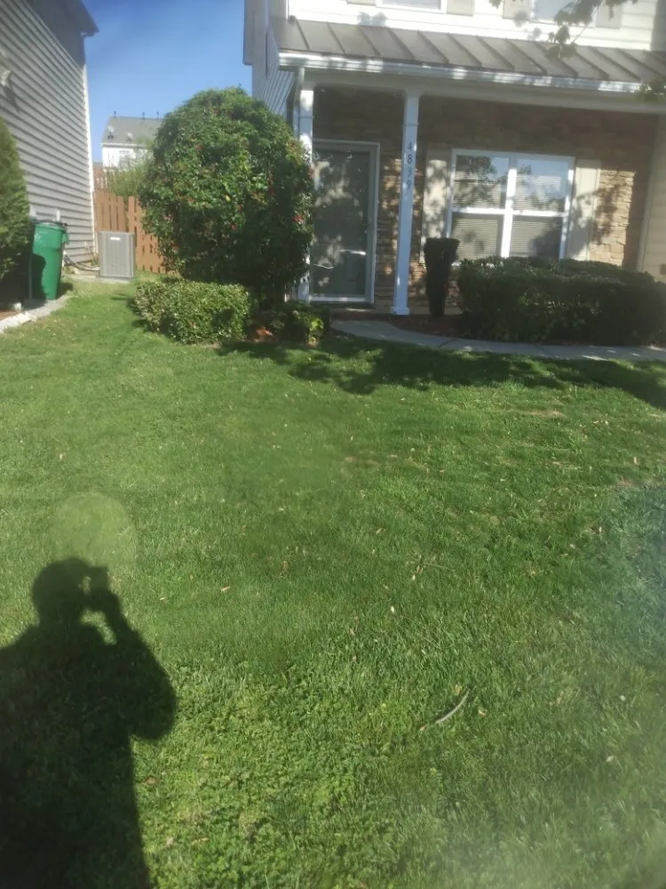 Professional landscape design in Bessemer City, NC - Freshcut Landscaping