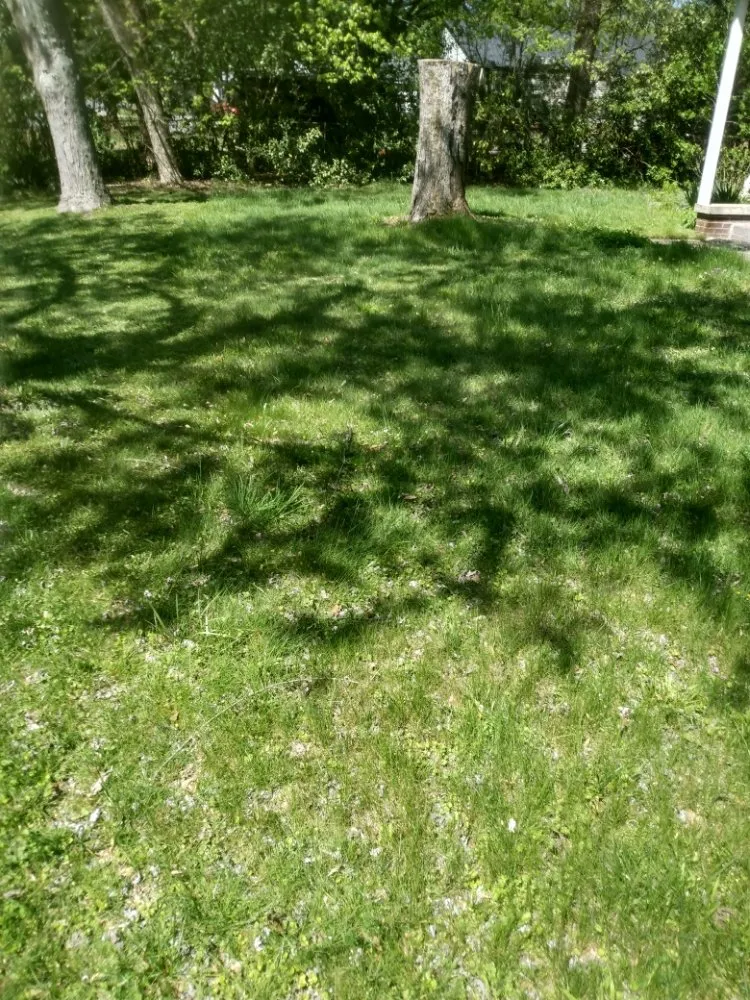 Trusted landscape design for beautiful yards across Bessemer City, NC - Freshcut Landscaping