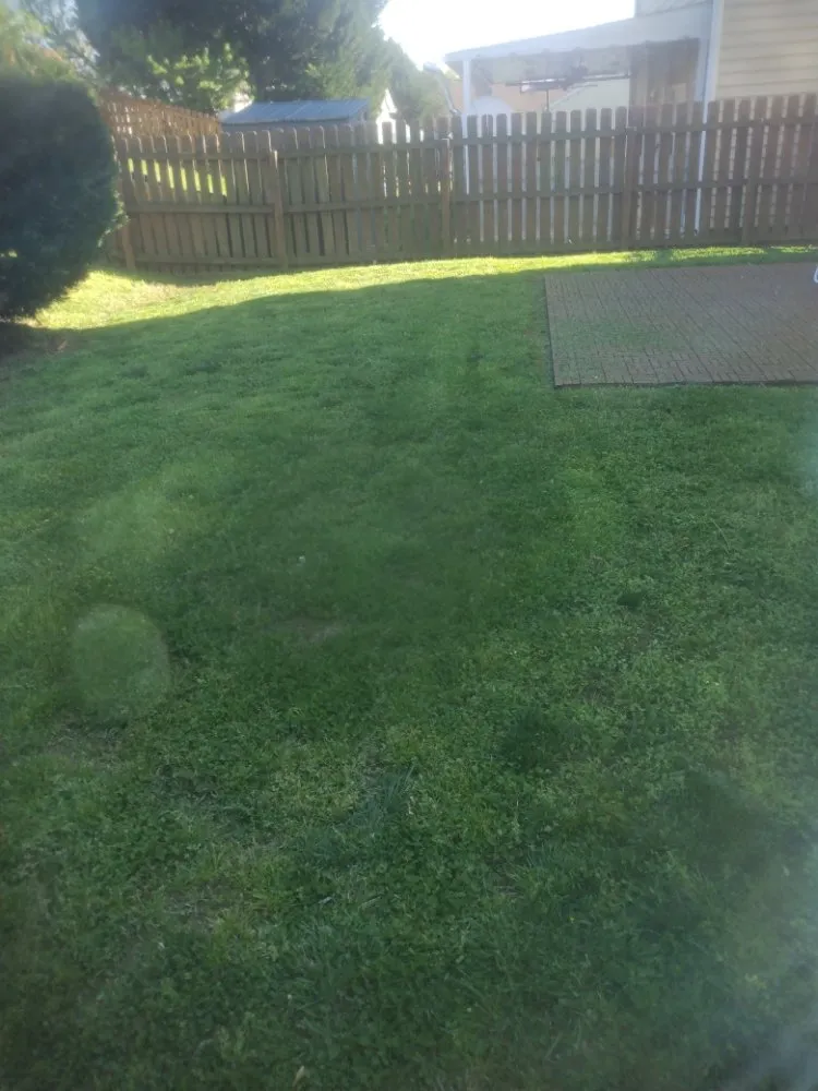 Local residential landscaping experts serving Bessemer City, NC - Freshcut Landscaping