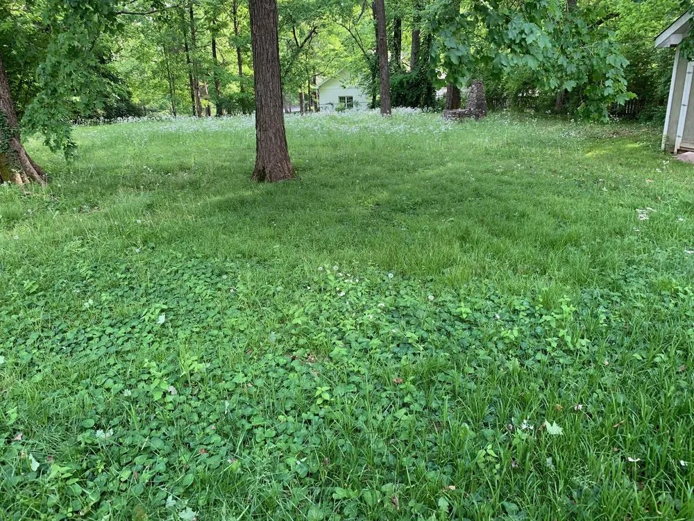 Reliable landscape installation for outdoor upgrades in Bowling Green, KY by FreshCut Lawn & Landscaping