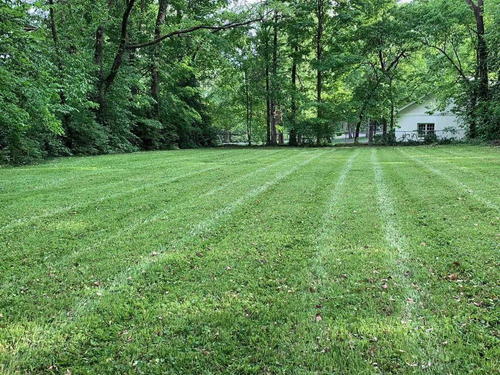 Expert residential landscaping in Bowling Green, KY - FreshCut Lawn & Landscaping