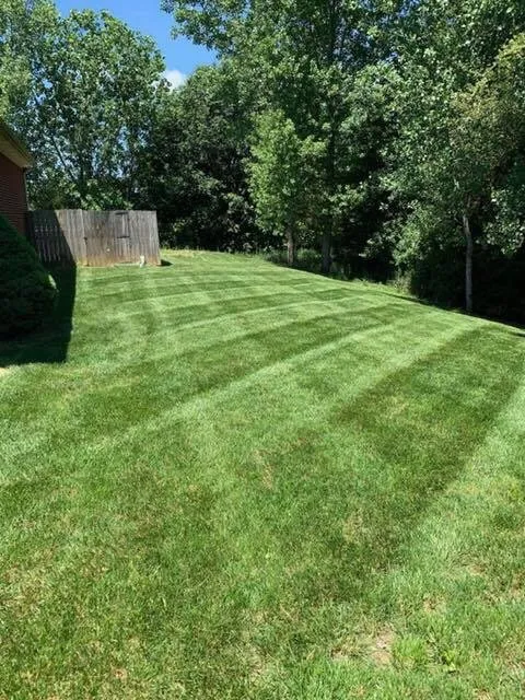 Reliable yard cleanup service in Bowling Green, KY - FreshCut Lawn & Landscaping