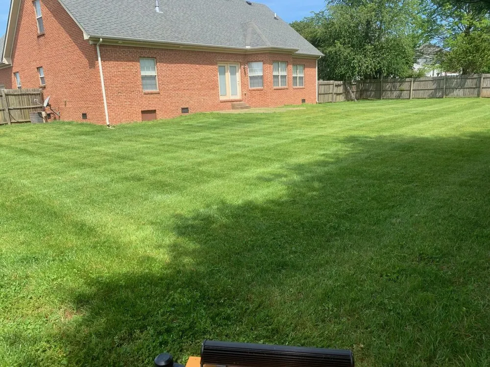 Trusted yard cleanup service experts serving Bowling Green, KY - FreshCut Lawn & Landscaping