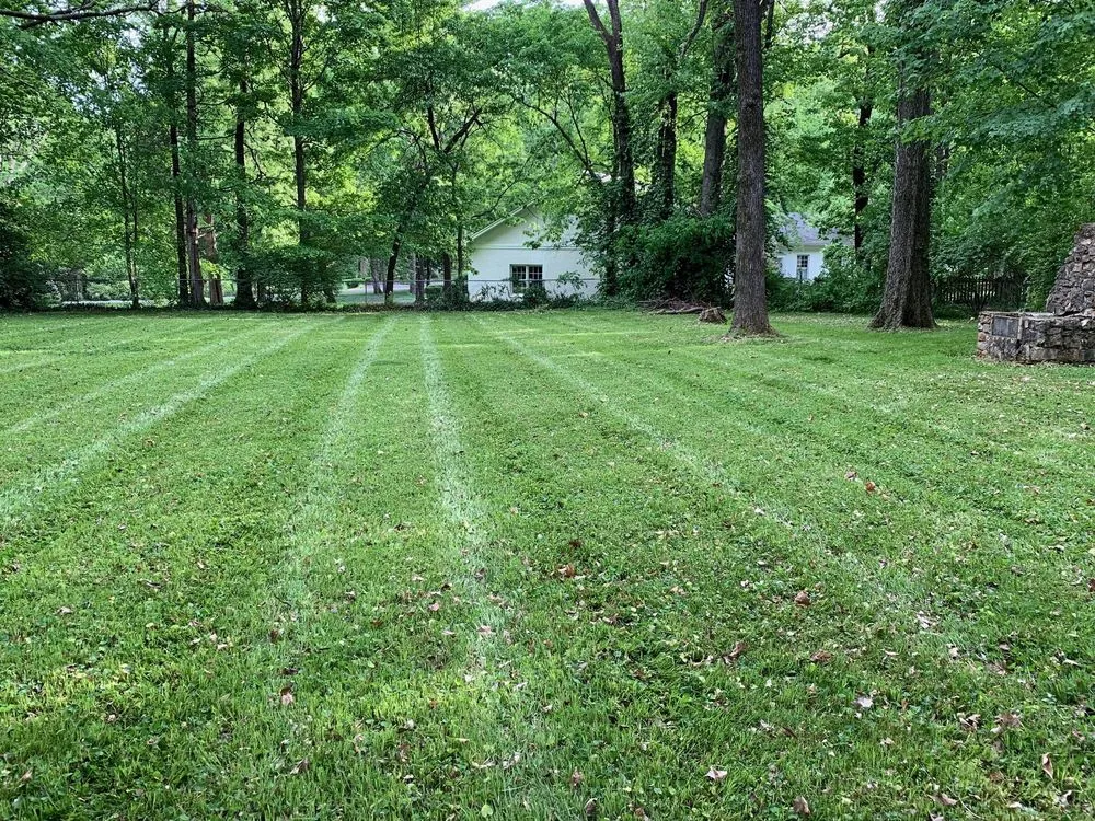 Reliable yard maintenance for beautiful yards across Bowling Green, KY - FreshCut Lawn & Landscaping