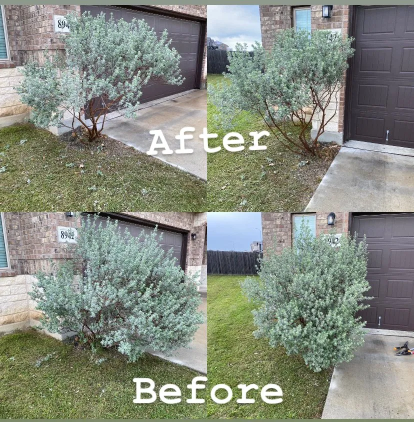 Custom residential landscaping in New Braunfels, TX by Freshcut Lawn & Tree