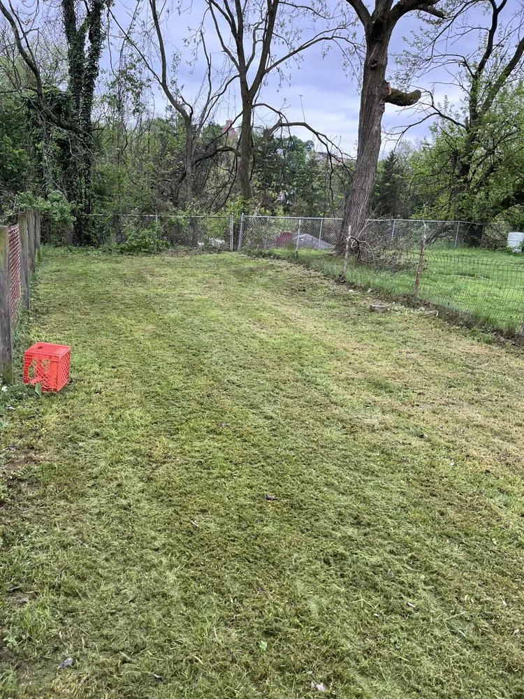 Trusted yard cleanup service experts serving Pittsburgh, PA - Freshcutkingz Landscaping