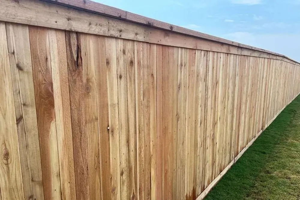 Reliable landscaping services for year-round maintenance across Kyle, TX - Freshcutz Fence and Masonry
