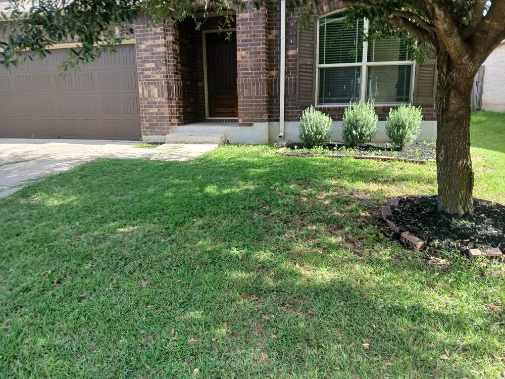 Reliable residential landscaping in Kyle, TX - FreshCutz
