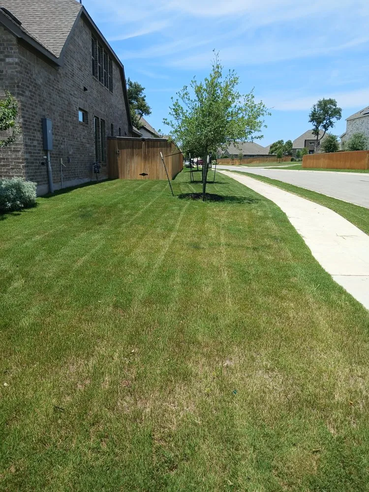 Trusted yard cleanup service for homes across Kyle, TX - FreshCutz