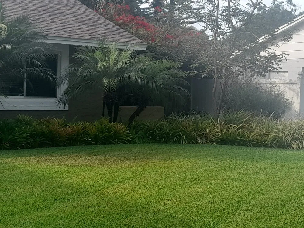 Expert lawn care service in Azalea Park, FL by FreshCutz Lawnscaping