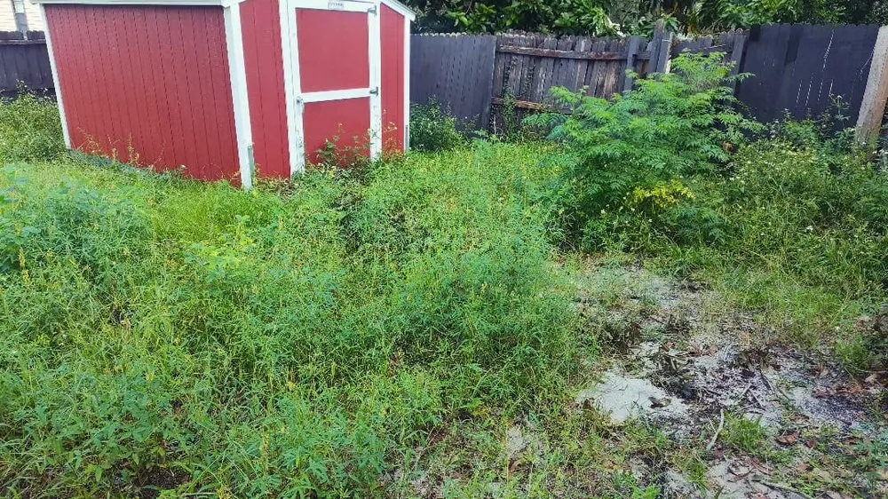 Trusted yard cleanup service in Azalea Park, FL - FreshCutz Lawnscaping