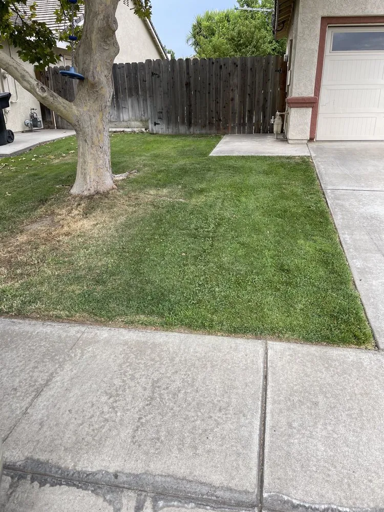 Expert yard cleanup service in Ripon, CA by Fresher Grass