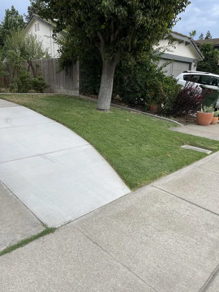 Professional yard maintenance in Ripon, CA - Fresher Grass