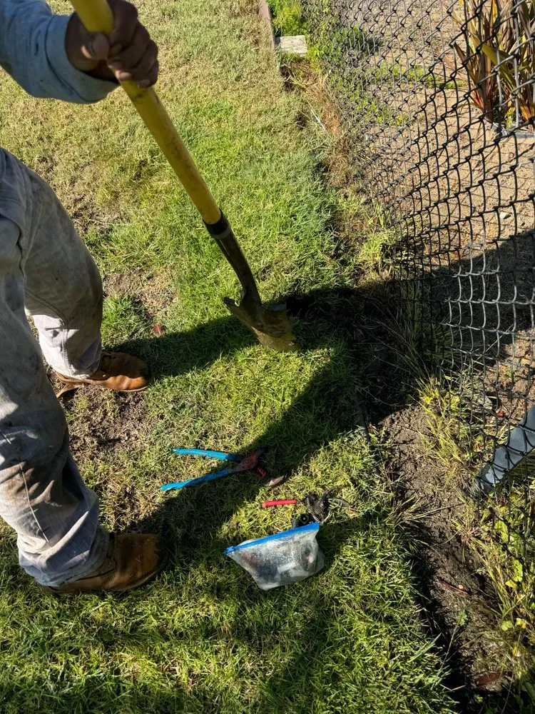 Expert lawn care service experts serving Encinitas, CA - Freshland Landscaping and Construction