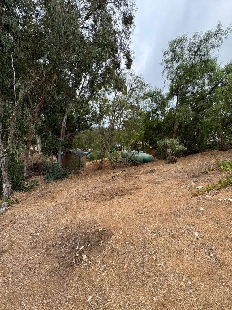 Expert landscape installation experts serving Encinitas, CA - Freshland Landscaping and Construction