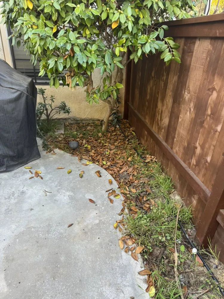 Reliable landscape design for year-round maintenance in Encinitas, CA by Freshland Landscaping and Construction