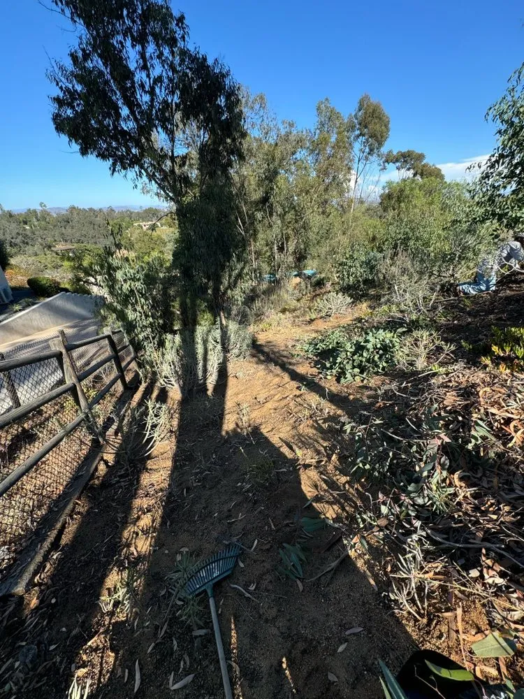 Expert yard maintenance experts serving Encinitas, CA - Freshland Landscaping and Construction