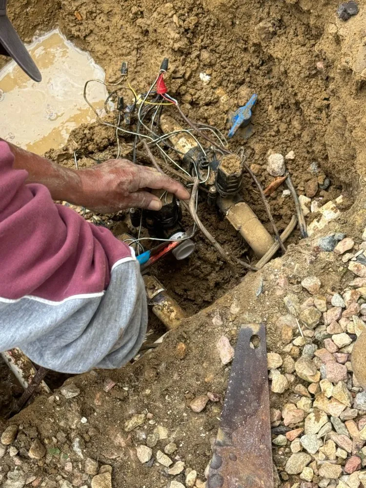 Local lawn mowing service experts serving Encinitas, CA - Freshland Landscaping and Construction