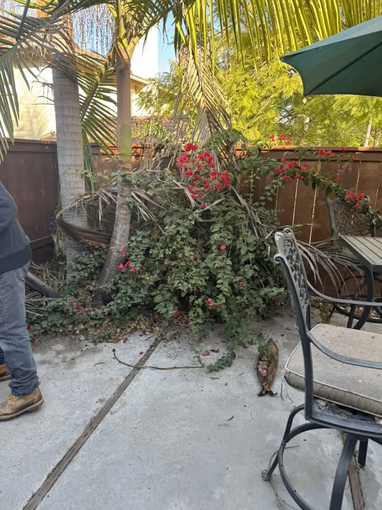 Top-rated outdoor landscaping in Encinitas, CA by Freshland Landscaping and Construction