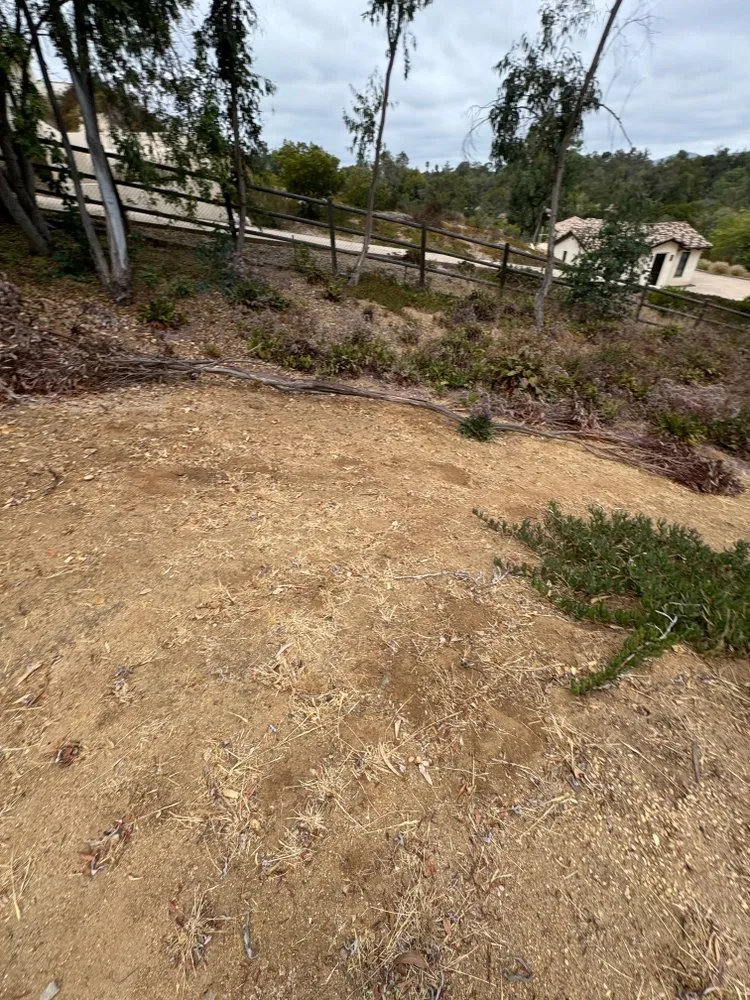 Professional residential landscaping in Encinitas, CA - Freshland Landscaping and Construction