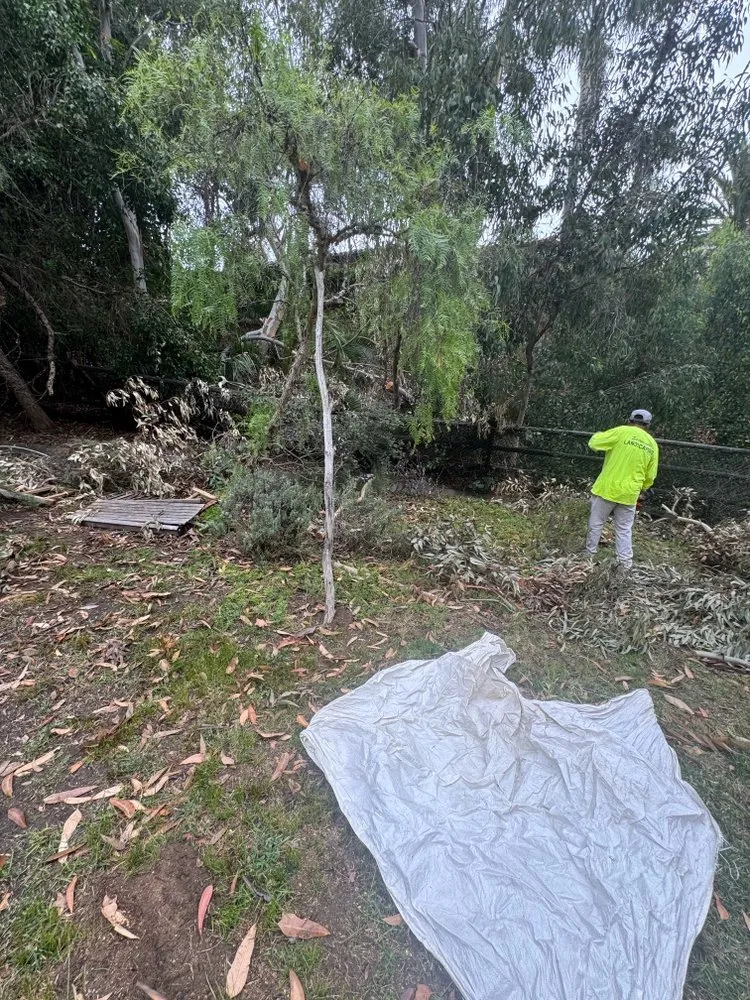 Custom outdoor landscaping experts serving Encinitas, CA - Freshland Landscaping and Construction