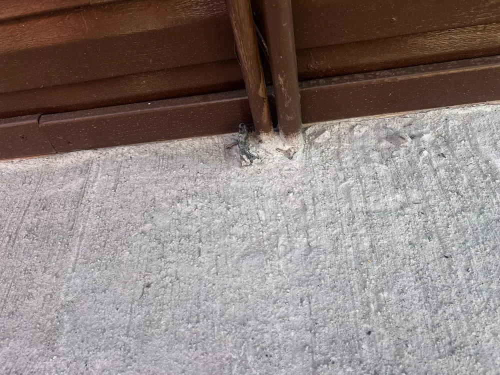 Custom landscaping services experts serving Newark, OH - Freshlook Home & Lawn