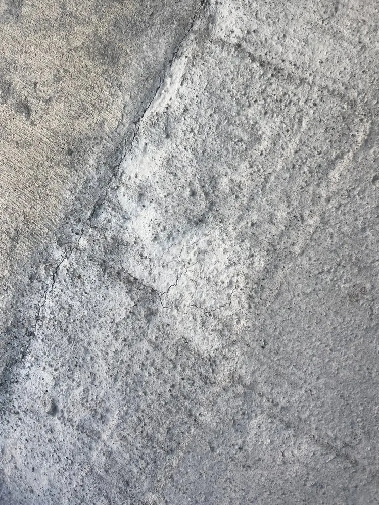 Local residential landscaping for year-round maintenance in Newark, OH by Freshlook Home & Lawn