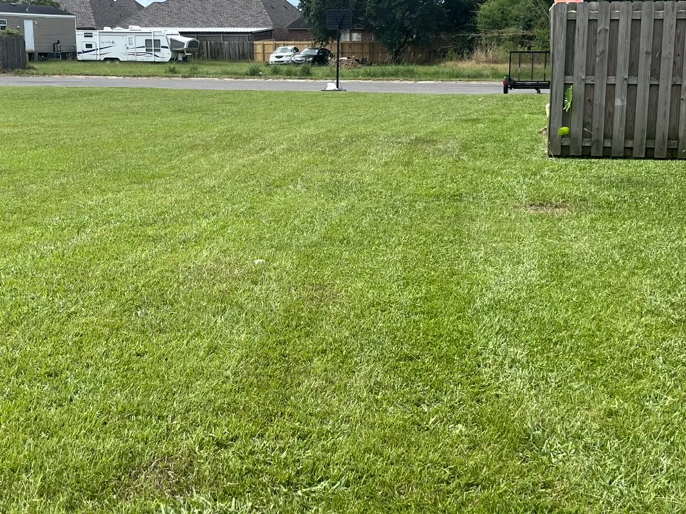 Reliable lawn care service for homes in Gonzales, LA by Freshly Cut Lawn Care Services