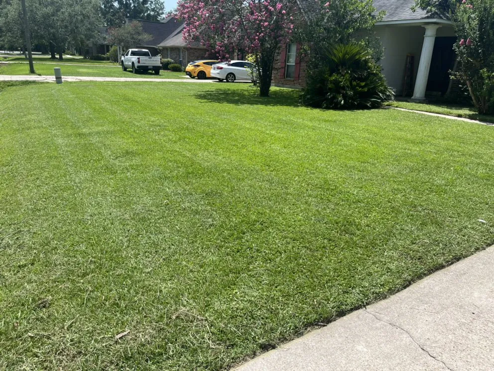 Top-rated lawn mowing service experts serving Gonzales, LA - Freshly Cut Lawn Care Services
