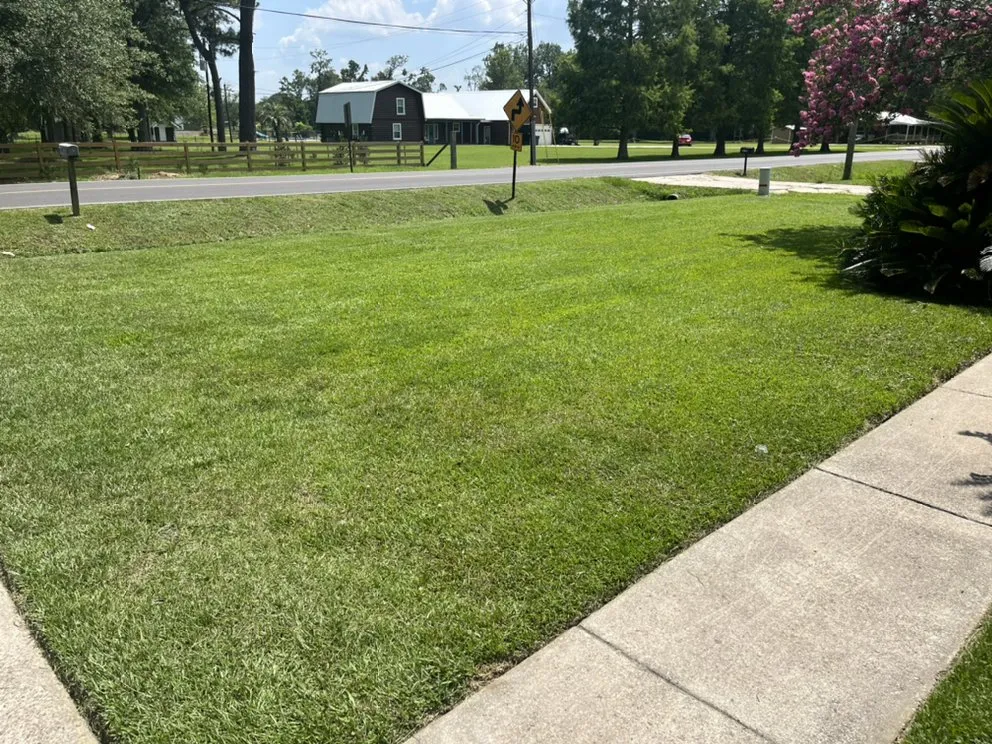 Affordable lawn mowing service near you in Gonzales, LA by Freshly Cut Lawn Care Services