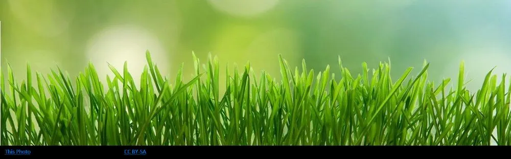 Professional outdoor landscaping experts serving Villa Rica, GA - Freshly Cut Lawn Care Services