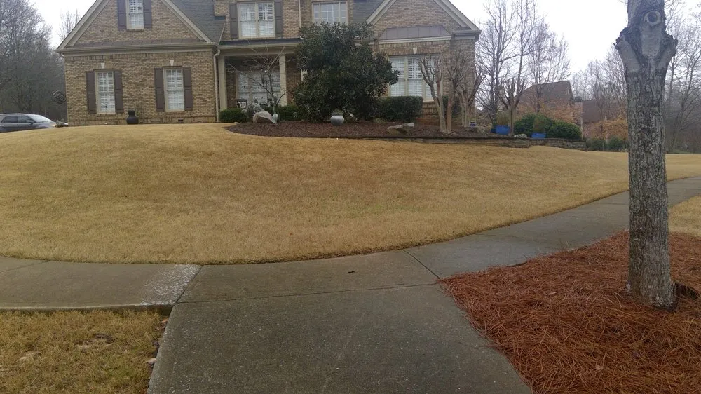 Trusted lawn mowing service experts serving Villa Rica, GA - Freshly Cut Lawn Care Services