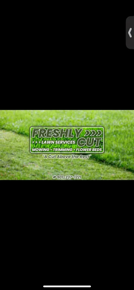 Trusted outdoor landscaping experts serving Olive Branch, MS - Freshly Cut