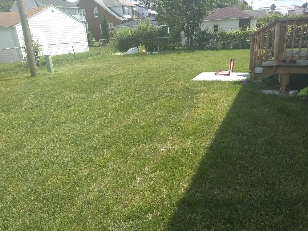 Trusted landscape design for year-round maintenance in Detroit, MI by Freshly Made Cuts