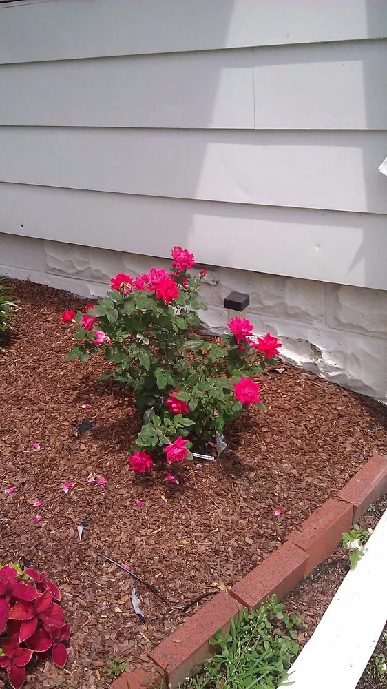 Professional yard maintenance for year-round maintenance in Detroit, MI by Freshly Made Cuts