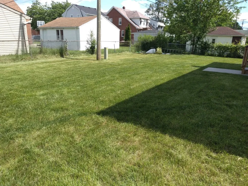 Custom yard cleanup service for beautiful yards in Detroit, MI by Freshly Made Cuts
